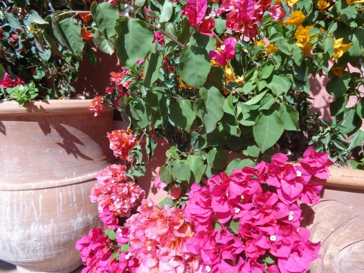 Riad Sesame Marrakesh Luaran gambar