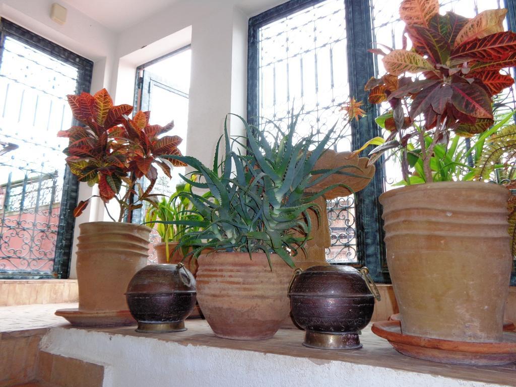 Riad Sesame Marrakesh Luaran gambar